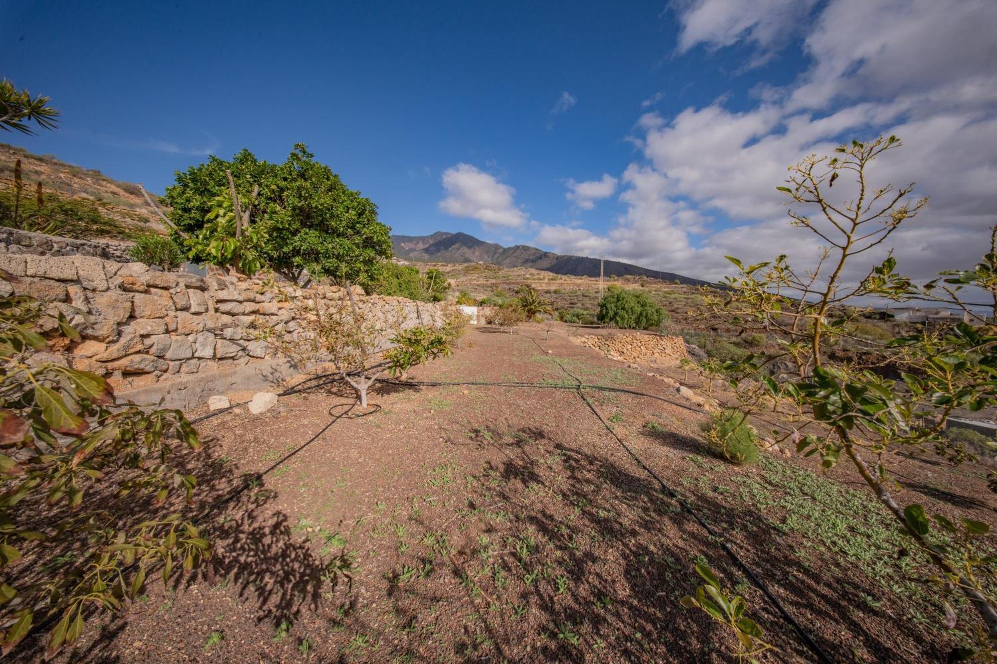 Casa Rural Buda Terra Santa Cruz de Tenerife Eksteriør bilde