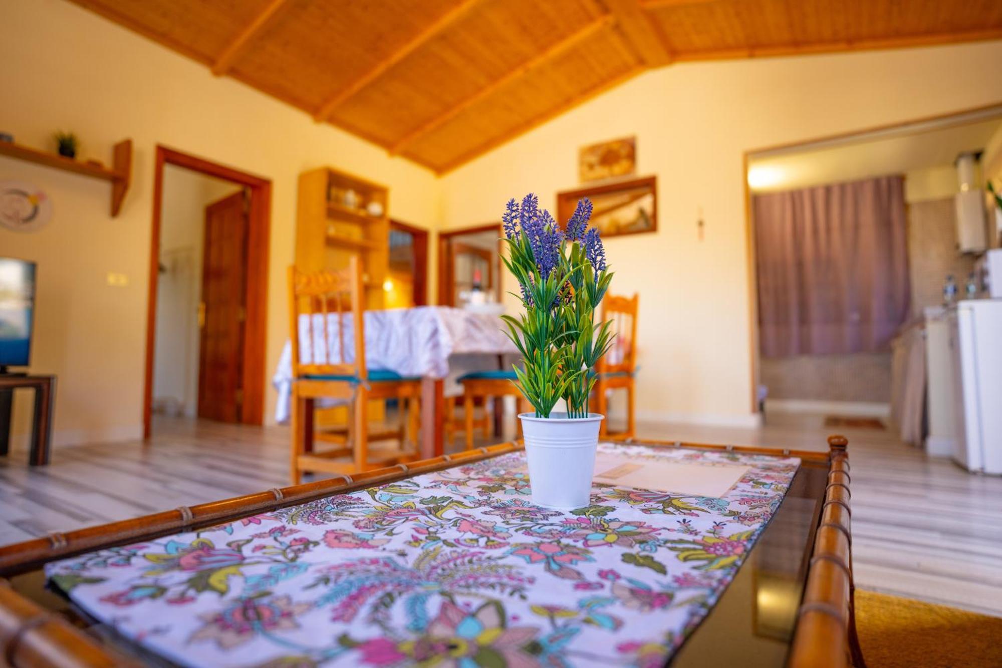 Casa Rural Buda Terra Santa Cruz de Tenerife Eksteriør bilde